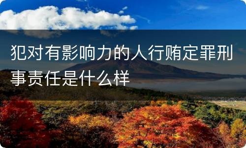 犯对有影响力的人行贿定罪刑事责任是什么样