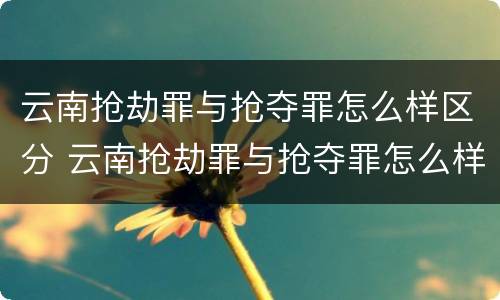 云南抢劫罪与抢夺罪怎么样区分 云南抢劫罪与抢夺罪怎么样区分呢