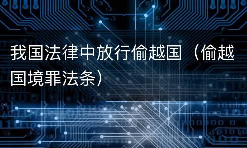 我国法律中放行偷越国（偷越国境罪法条）