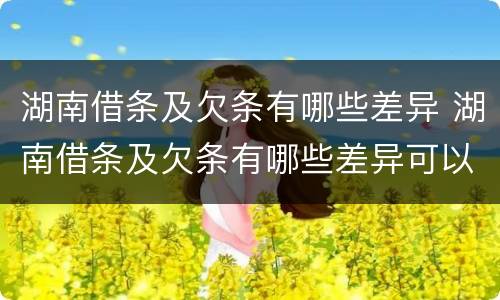湖南借条及欠条有哪些差异 湖南借条及欠条有哪些差异可以起诉