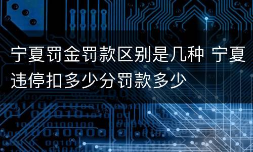 宁夏罚金罚款区别是几种 宁夏违停扣多少分罚款多少