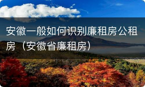 安徽一般如何识别廉租房公租房（安徽省廉租房）