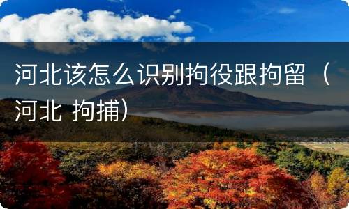 河北该怎么识别拘役跟拘留（河北 拘捕）