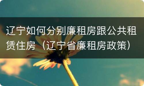 辽宁如何分别廉租房跟公共租赁住房（辽宁省廉租房政策）