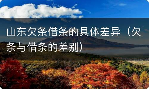 山东欠条借条的具体差异（欠条与借条的差别）