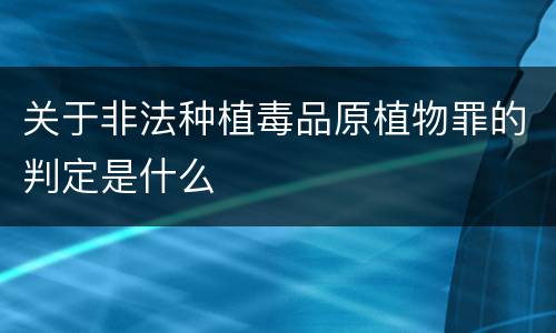关于非法种植毒品原植物罪的判定是什么