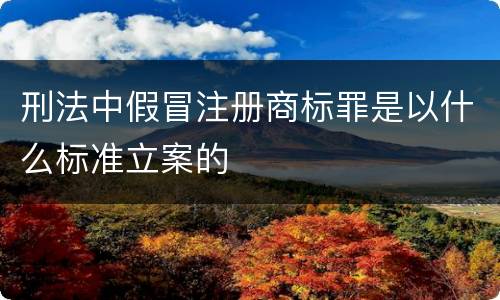 刑法中假冒注册商标罪是以什么标准立案的