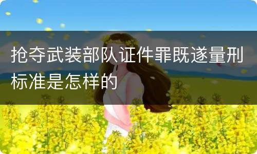 抢夺武装部队证件罪既遂量刑标准是怎样的