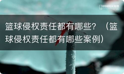 篮球侵权责任都有哪些？（篮球侵权责任都有哪些案例）