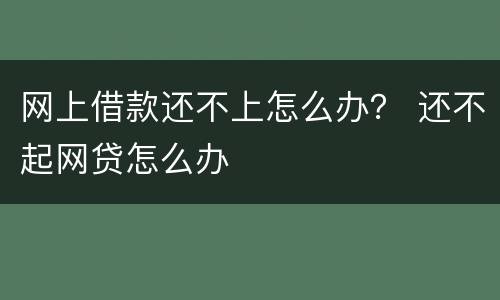 网上借款还不上怎么办？ 还不起网贷怎么办