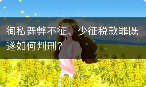 徇私舞弊不征、少征税款罪既遂如何判刑?