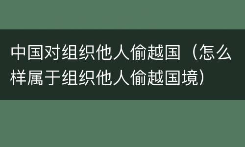 中国对组织他人偷越国（怎么样属于组织他人偷越国境）