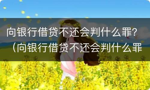 向银行借贷不还会判什么罪？（向银行借贷不还会判什么罪名）