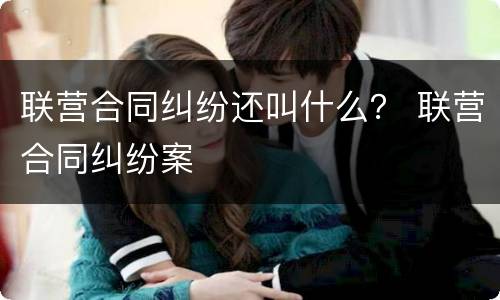 联营合同纠纷还叫什么？ 联营合同纠纷案