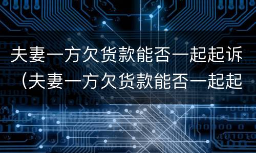 夫妻一方欠货款能否一起起诉（夫妻一方欠货款能否一起起诉离婚）