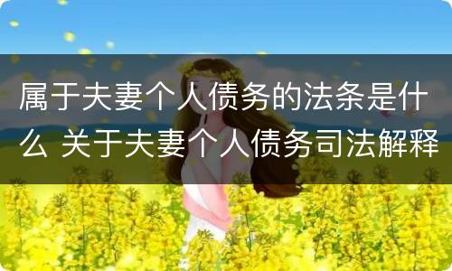 属于夫妻个人债务的法条是什么 关于夫妻个人债务司法解释