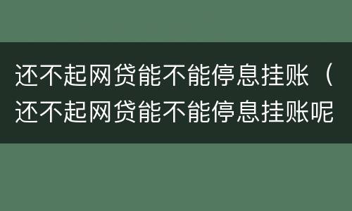 还不起网贷能不能停息挂账（还不起网贷能不能停息挂账呢）