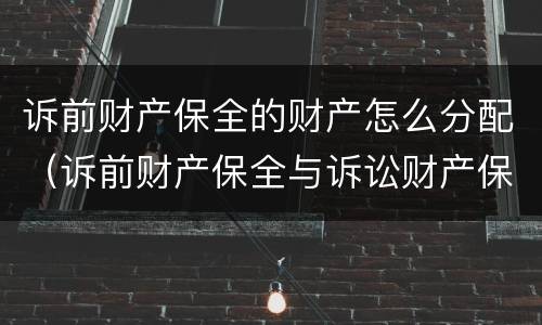 诉前财产保全的财产怎么分配（诉前财产保全与诉讼财产保全）