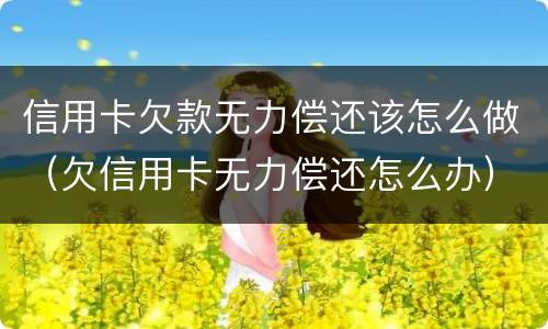 信用卡欠款无力偿还该怎么做（欠信用卡无力偿还怎么办）