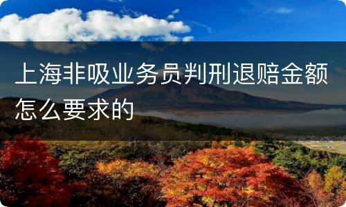 上海非吸业务员判刑退赔金额怎么要求的