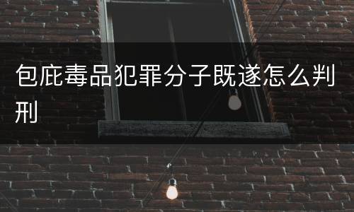 包庇毒品犯罪分子既遂怎么判刑