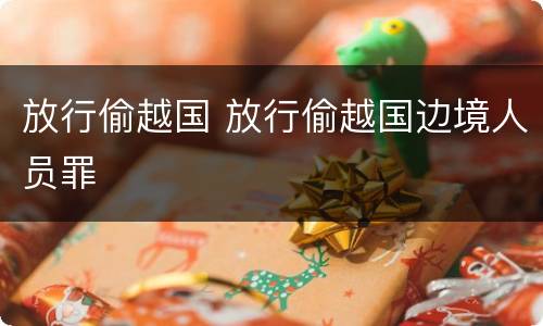 放行偷越国 放行偷越国边境人员罪