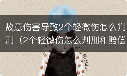 故意伤害导致2个轻微伤怎么判刑（2个轻微伤怎么判刑和赔偿）