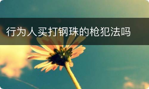 行为人买打钢珠的枪犯法吗