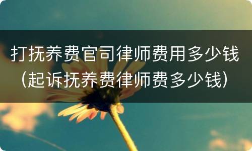打抚养费官司律师费用多少钱（起诉抚养费律师费多少钱）