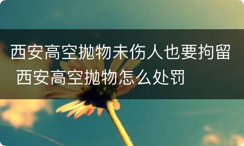 西安高空抛物未伤人也要拘留 西安高空抛物怎么处罚