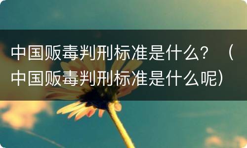 中国贩毒判刑标准是什么？（中国贩毒判刑标准是什么呢）