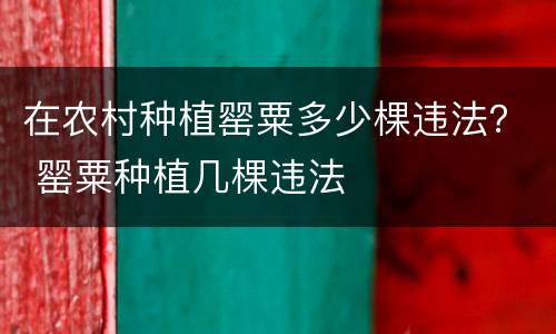 在农村种植罂粟多少棵违法？ 罂粟种植几棵违法