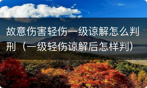 故意伤害轻伤一级谅解怎么判刑（一级轻伤谅解后怎样判）