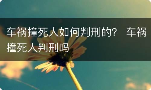 车祸撞死人如何判刑的？ 车祸撞死人判刑吗