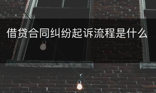 借贷合同纠纷起诉流程是什么