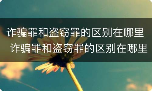 诈骗罪和盗窃罪的区别在哪里 诈骗罪和盗窃罪的区别在哪里呢