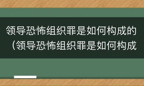 领导恐怖组织罪是如何构成的（领导恐怖组织罪是如何构成的罪名）