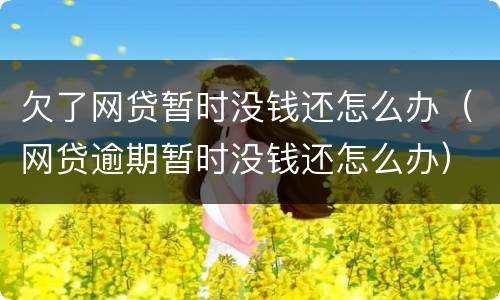 欠了网贷暂时没钱还怎么办（网贷逾期暂时没钱还怎么办）