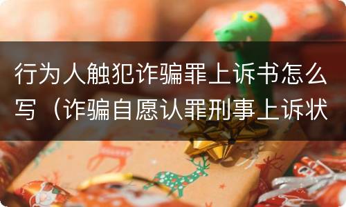 行为人触犯诈骗罪上诉书怎么写（诈骗自愿认罪刑事上诉状范文）