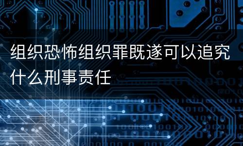 组织恐怖组织罪既遂可以追究什么刑事责任