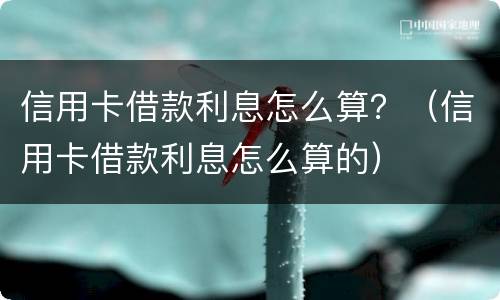信用卡借款利息怎么算？（信用卡借款利息怎么算的）