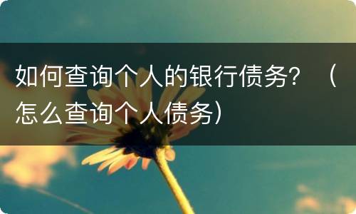 如何查询个人的银行债务？（怎么查询个人债务）