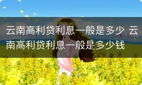 云南高利贷利息一般是多少 云南高利贷利息一般是多少钱