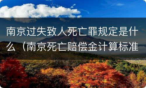 南京过失致人死亡罪规定是什么（南京死亡赔偿金计算标准）