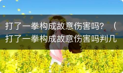 打了一拳构成故意伤害吗？（打了一拳构成故意伤害吗判几年）