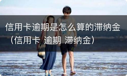信用卡逾期是怎么算的滞纳金（信用卡 逾期 滞纳金）