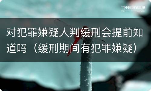 对犯罪嫌疑人判缓刑会提前知道吗（缓刑期间有犯罪嫌疑）