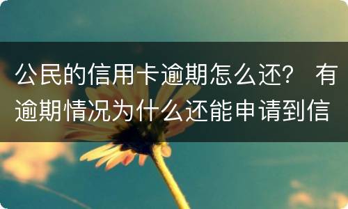 公民的信用卡逾期怎么还？ 有逾期情况为什么还能申请到信用卡