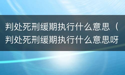 判处死刑缓期执行什么意思（判处死刑缓期执行什么意思呀）