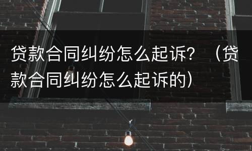 贷款合同纠纷怎么起诉？（贷款合同纠纷怎么起诉的）